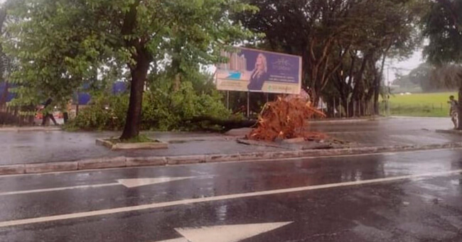 01 - 2023-03-06T084910.389