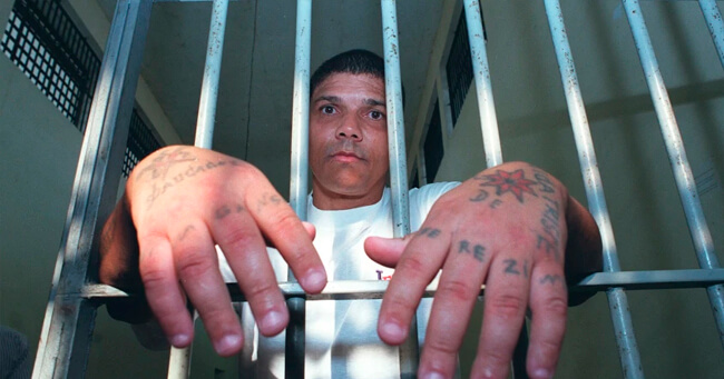 01 - 2023-03-06T104925.776