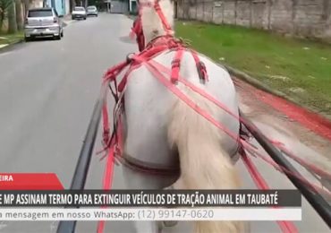 01 - 2023-04-04T082331.207