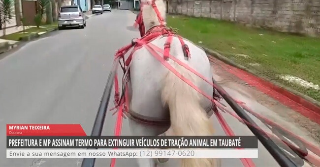 01 - 2023-04-04T082331.207