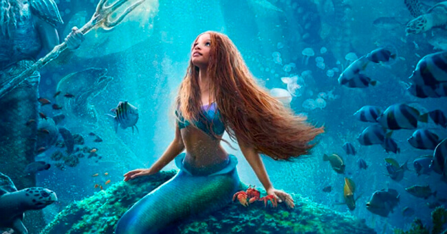 01 - 2023-05-29T120340.911