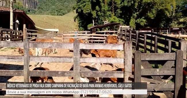 01 - 2023-06-01T104407.175