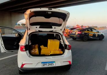 01 - 2023-07-31T061556.274