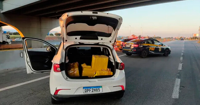 01 - 2023-07-31T061556.274