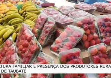 01 - 2023-08-10T073413.804