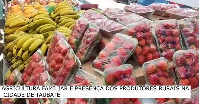 01 - 2023-08-10T073413.804