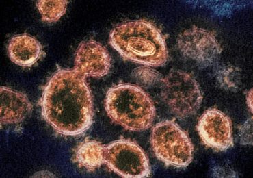 01 - 2023-08-31T090511.447