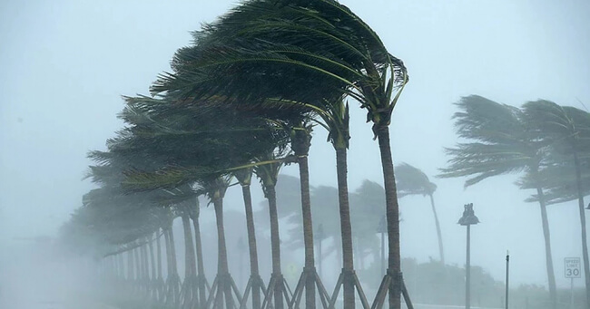 01 - 2023-09-01T083433.244