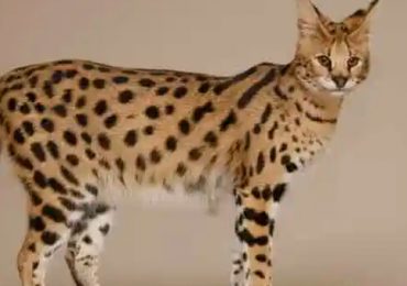 01 - 2023-09-08T080402.833