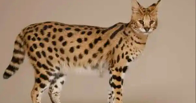 01 - 2023-09-08T080402.833