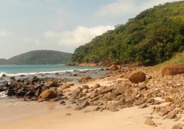 01 - 2024-01-26T082358.892