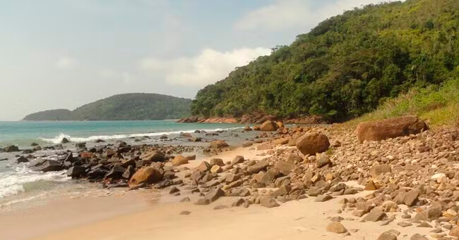 01 - 2024-01-26T082358.892