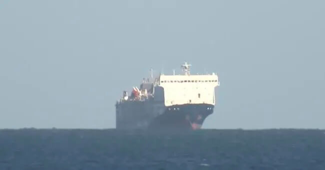 01 - 2024-01-31T080202.808