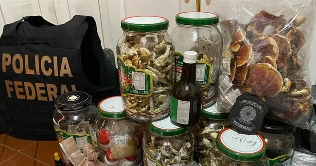 SITE - 2024-04-19T083218.941