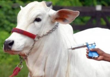 SITE - 2024-05-03T074638.334