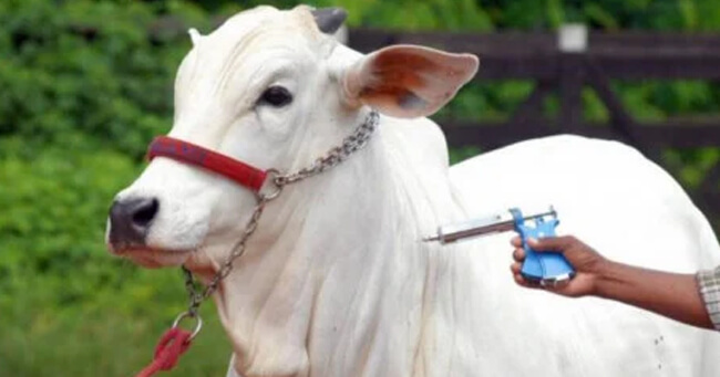 SITE - 2024-05-03T074638.334