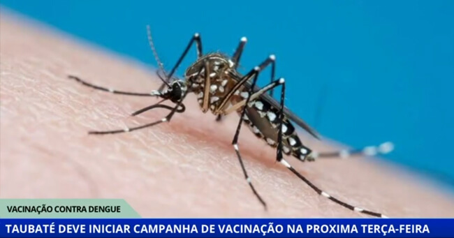 SITE - 2024-05-06T104650.197