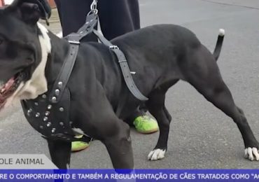 SITE - 2024-05-07T095714.945